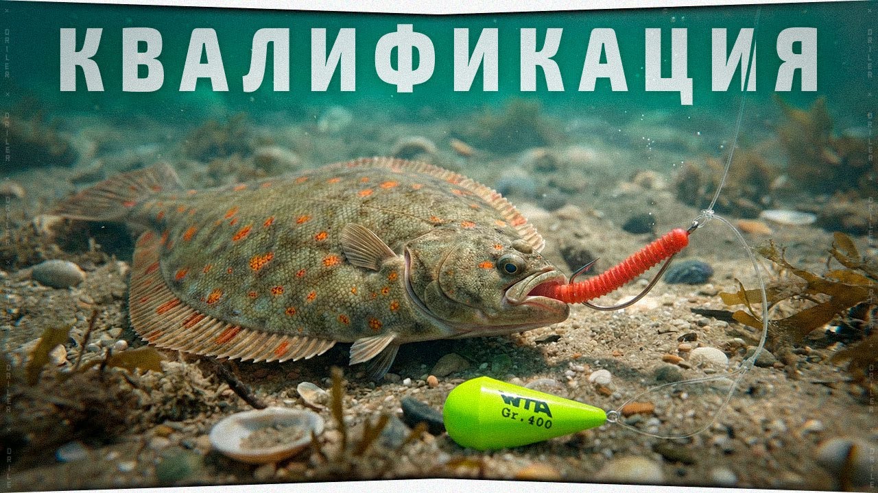 Морская квалификация • КАМБАЛА на обезьянку • Русская Рыбалка 4