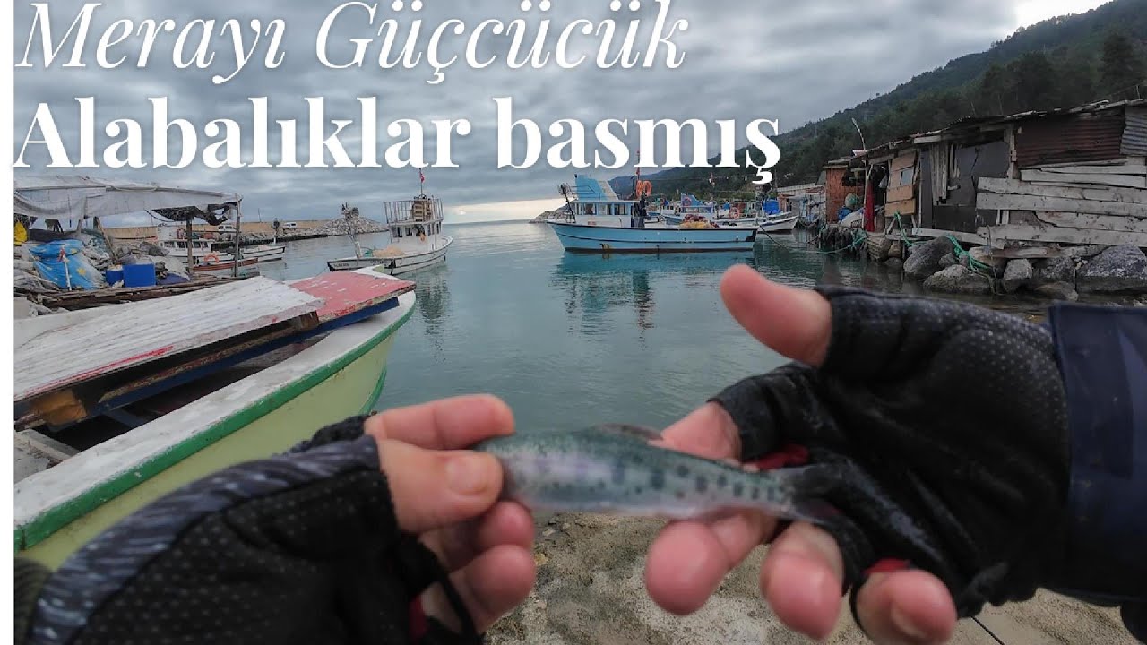 Merayı minik somonlar basmış