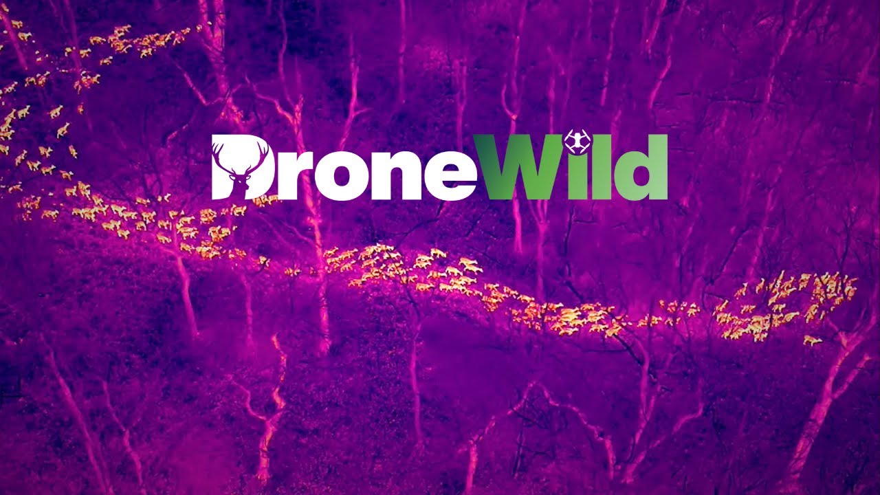 How DroneWild is Revolutionising Wildlife Management & Conservation
