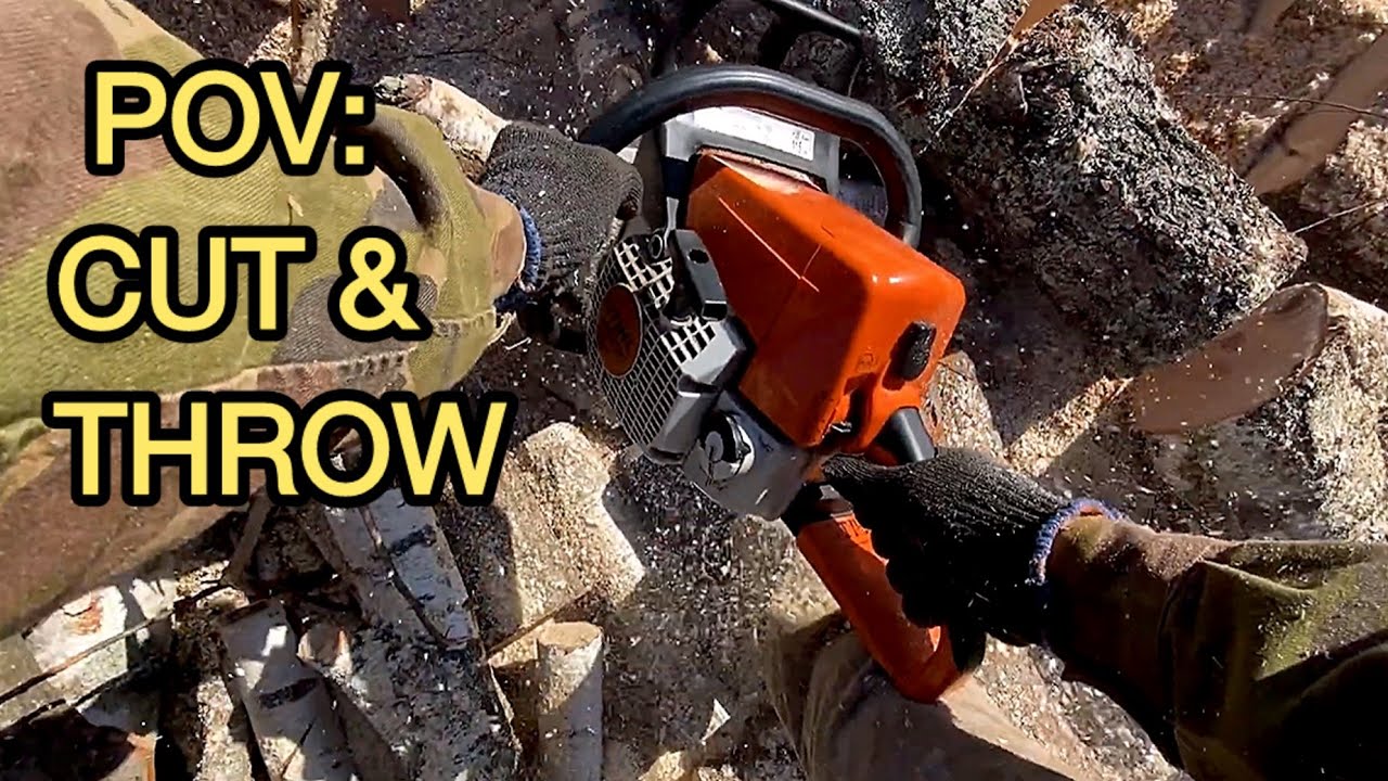 POV: Cutting Firewood with Stihl MS 230 | Real Work