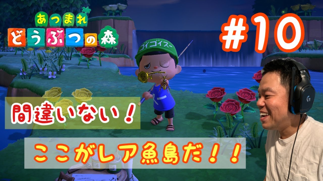 【あつ森】ここがレア魚島だ！【ダイアン津田のゲーム実況】【あつまれどうぶつの森】
