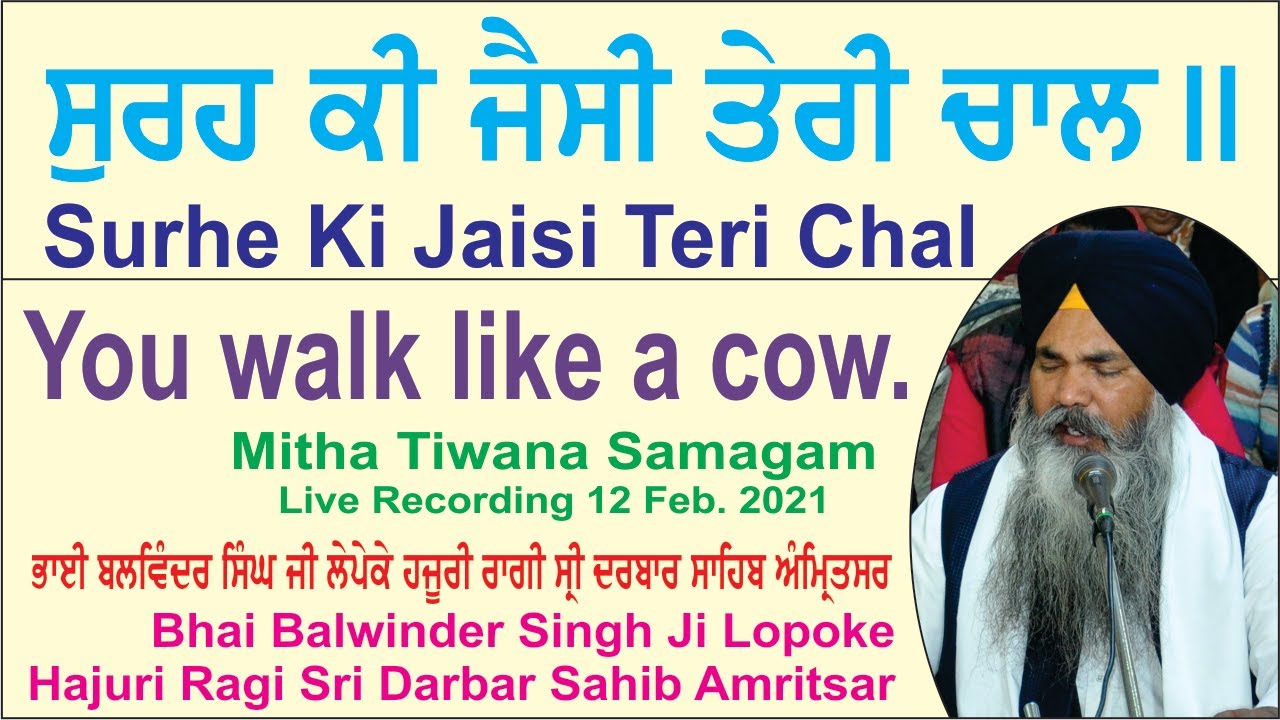 Surhe Ki Jaisi Teri Chal By Bhai Balwinder Singh Ji Lopoke, Hajuri Ragi Sri Darbar Sahib Amritsar