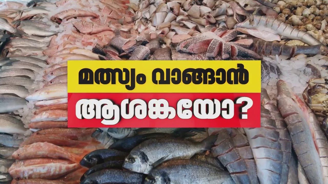 മത്സ്യം വാങ്ങാൻ ആശങ്കയോ? തീരപ്രദേശങ്ങളിൽ എന്താണ് ഇപ്പോഴത്തെ അവസ്ഥ? l Fish Market