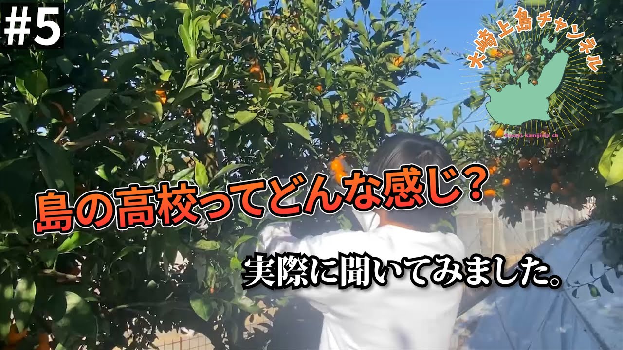 【島の高校生初出演！】みかん狩りでアルバイト【大崎上島チャンネル#5】