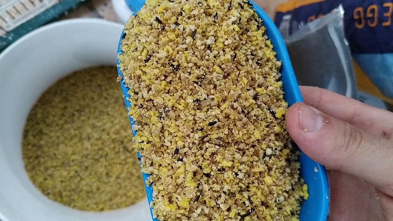 🍲COMIDA Y 🥡PASTA PARA 🐦JILGUERO Y SE ME FUGA.....😲