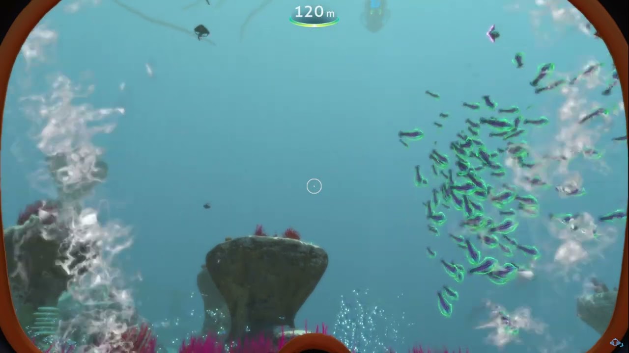 Relaxing Video Under The Sea