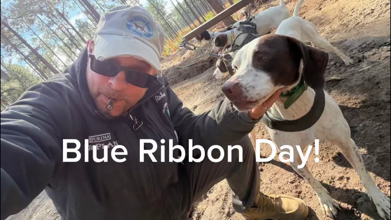 Blue Ribbon Day! 