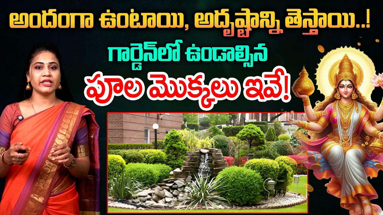 అందంగా ఉంటాయి, అదృష్టాన్ని తెస్తాయి..! These Flowering Plants To Have in The Garden | Vedha Telugu