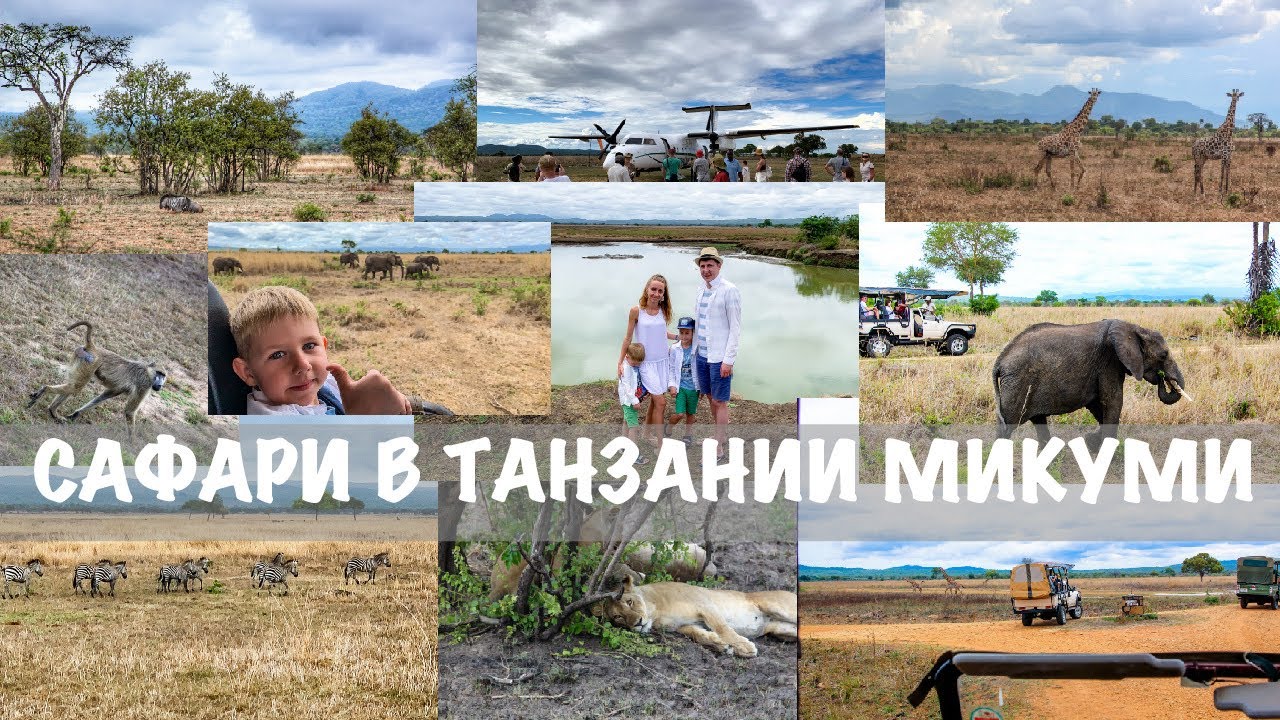 #1 ЗАНЗИБАР ПО ПУТЕВКЕ. САФАРИ В ТАНЗАНИИ. НАЦИОНАЛЬНЫЙ ПАРК В МИКУМИ.