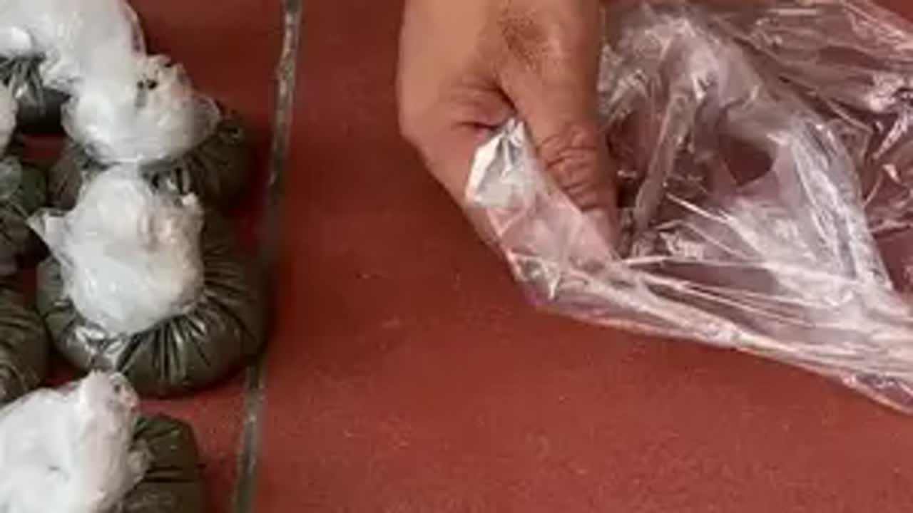 塑料袋加水泥还能有这样的操作种植手工 花盆 万物皆可挂闲鱼 闲鱼捡漏