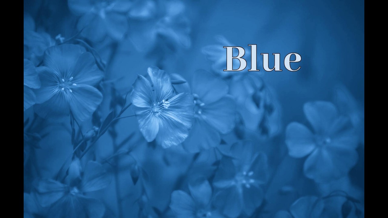 Maria Daines ~ Blue ~ Lyric video