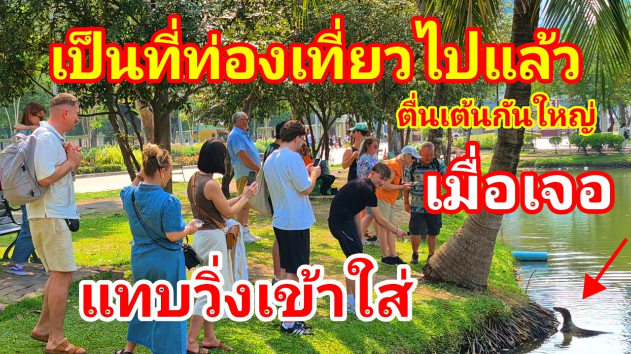 เห็นเป็นไม่ได้ต้องวิ่งเข้าใส่เมื่อเจอสิ่งนี้!! กลายเป็นที่ท่องเที่ยวไปแล้วสวนสาธารณะเมืองไทย#สวนลุม 