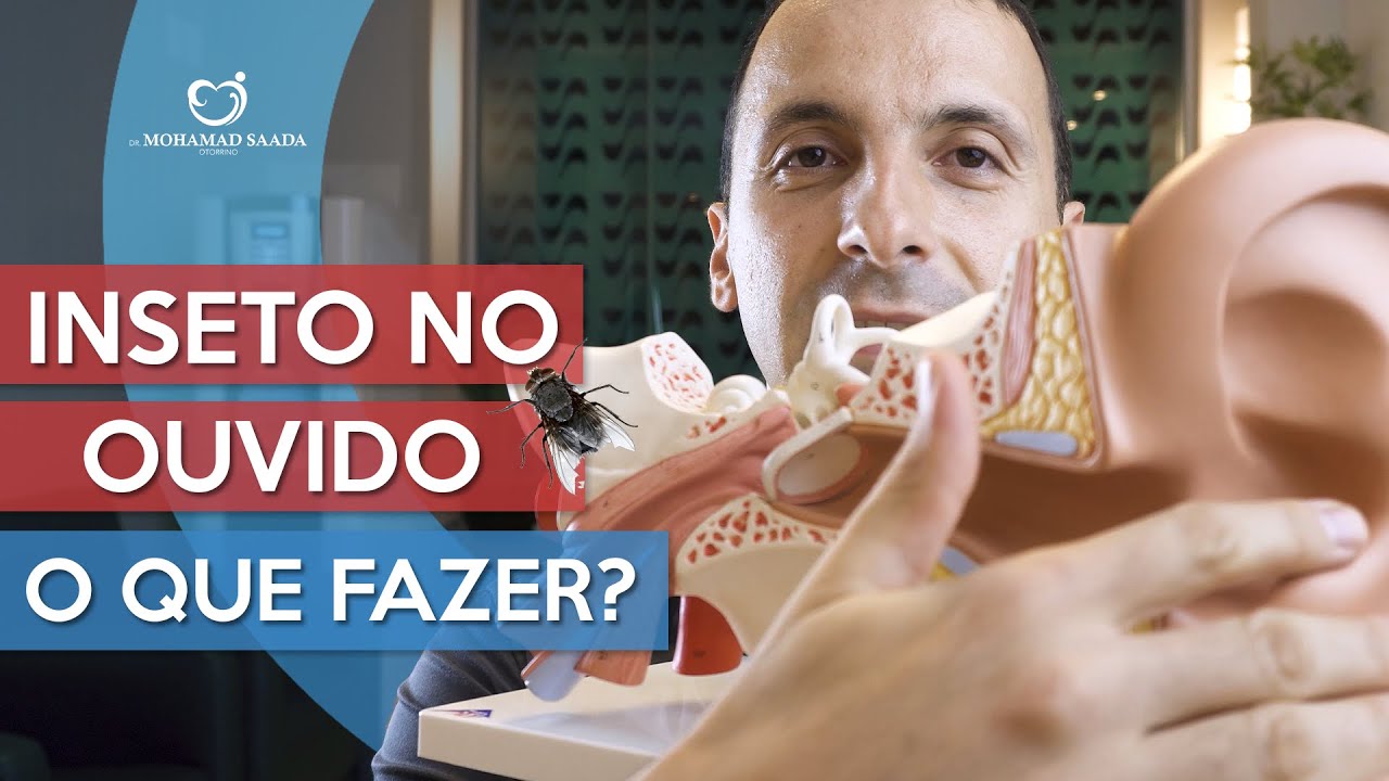 Inseto No Ouvido, O Que Fazer?