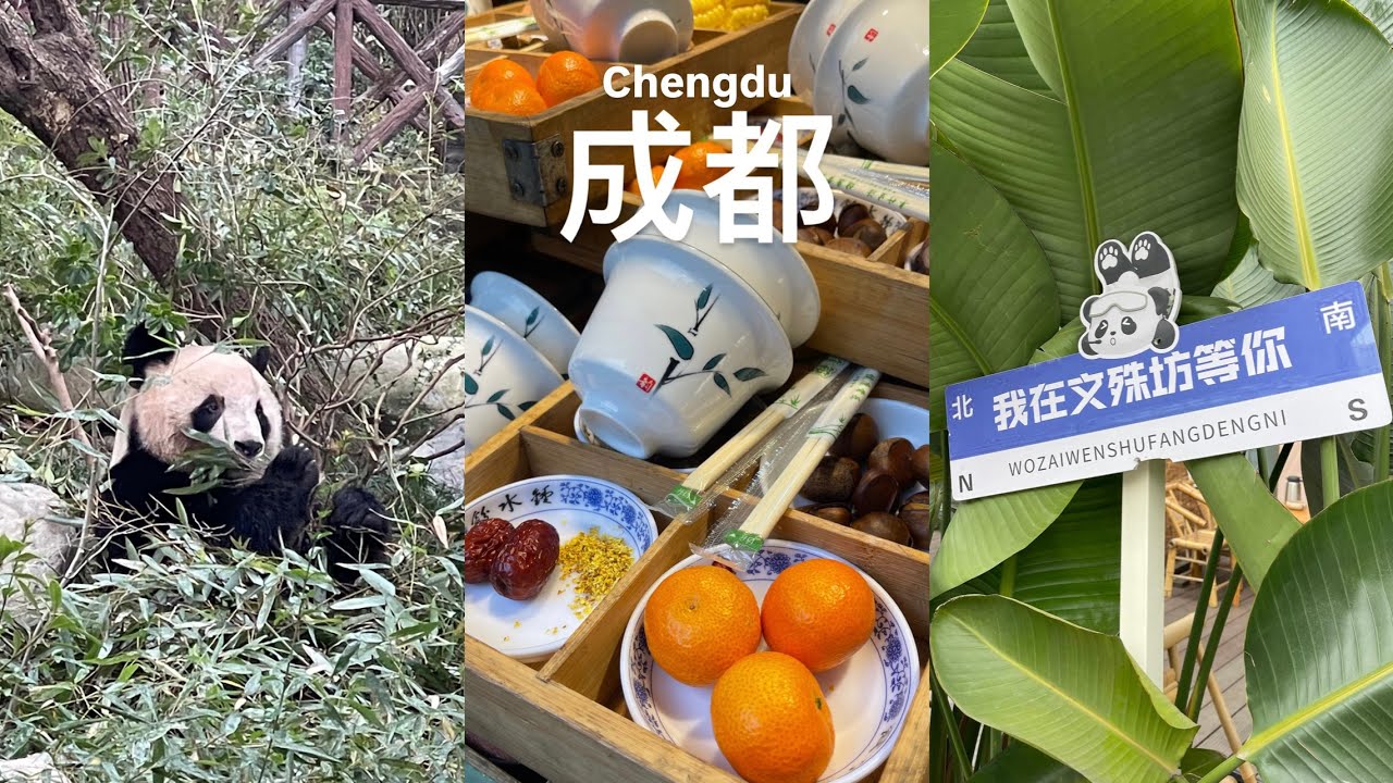 Winter days in Chengdu, China | A city full of pandas and tea