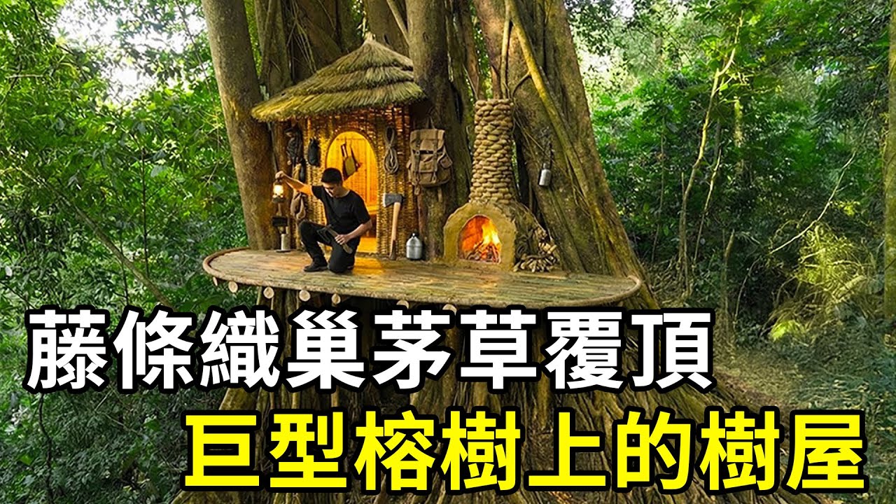 藤條織巢，茅草覆頂！巨型榕樹上的荒野治癒系庇護所！| #紀錄片 #有趣  #creative