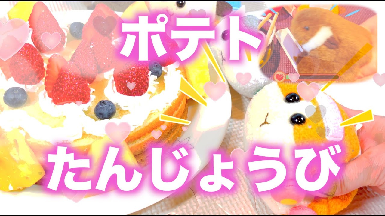 ☆ポテトの誕生日☆　モルカー　ムササビ