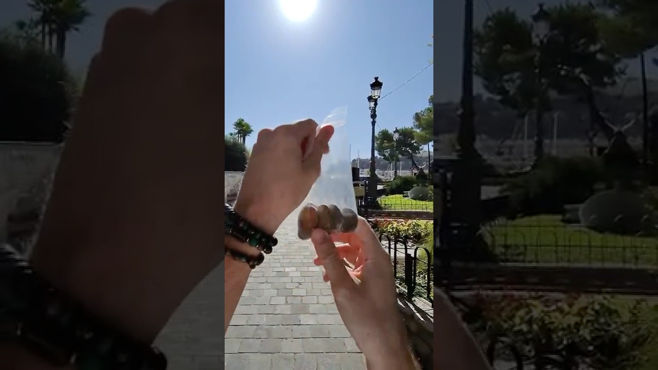 Je fais estimer des pi&egrave;ces 🪙 &agrave; Monaco GRATUITEMENT 🆓 Chez Gadoury Numismatique 💰