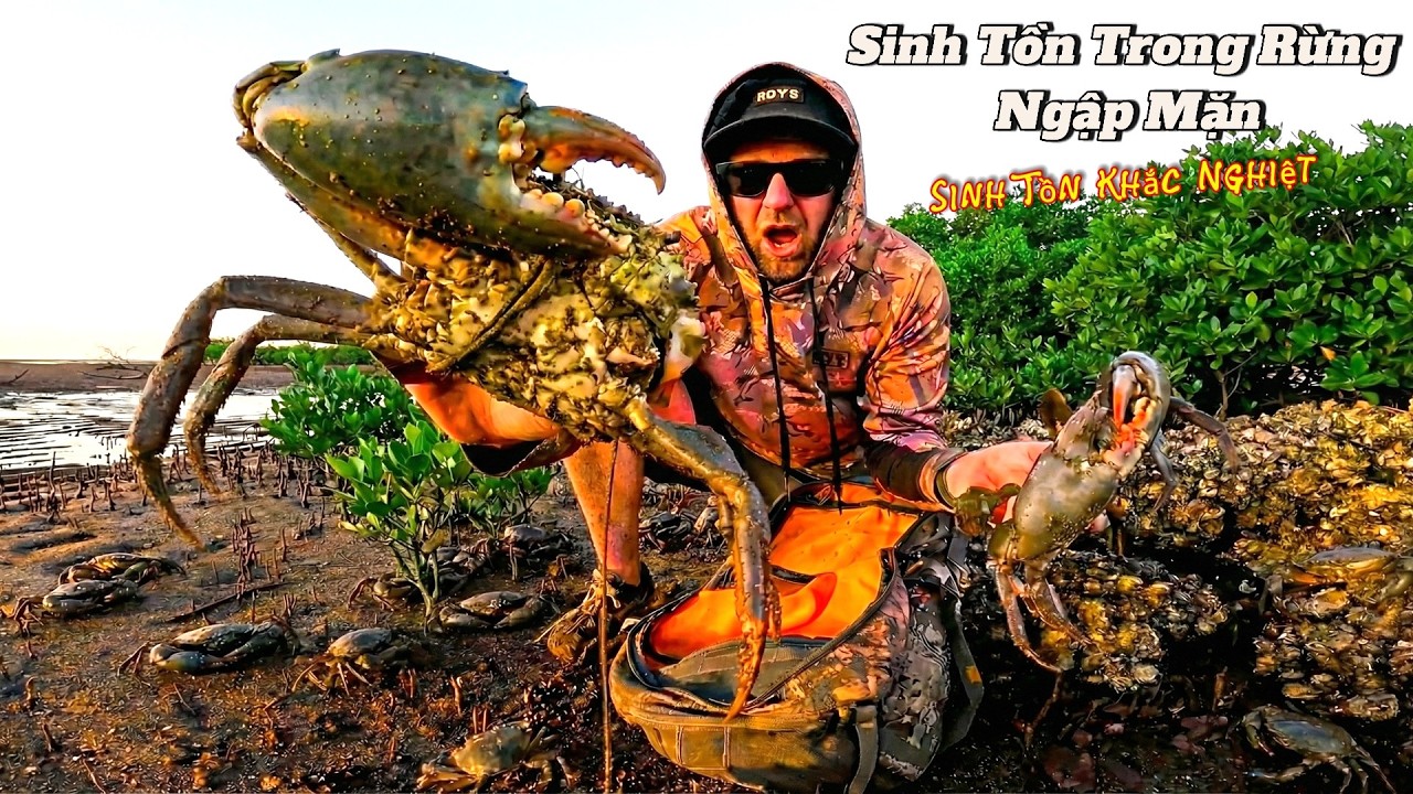 Thử Thách Sinh Tồn Rừng Ngập Mặn - Truy Tìm Cua Bùn Khổng Lồ Đối Mặt Cá Sấu