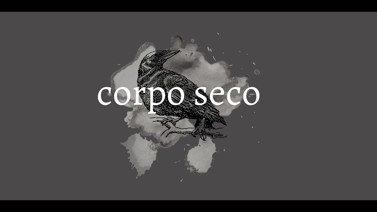 Corpo seco (videodance)