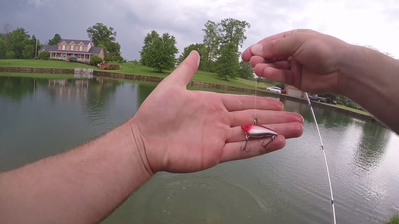 Micro Lure Fishing?!?