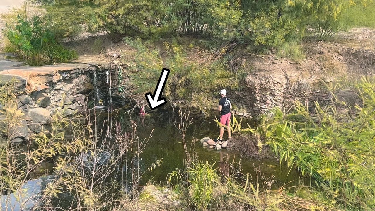 Fishing a Secluded Spot in DOWNTOWN Phoenix & Rescuing Fish From a Puddle!!