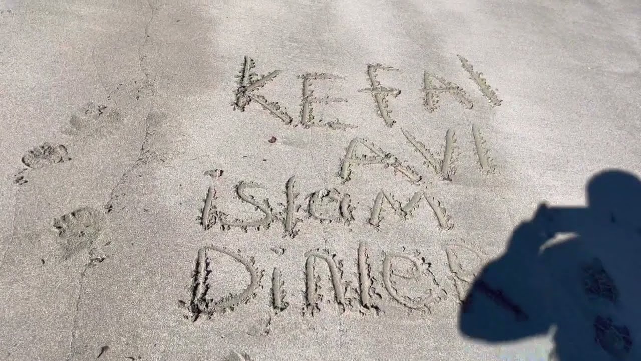 Kefal Avı!!!!