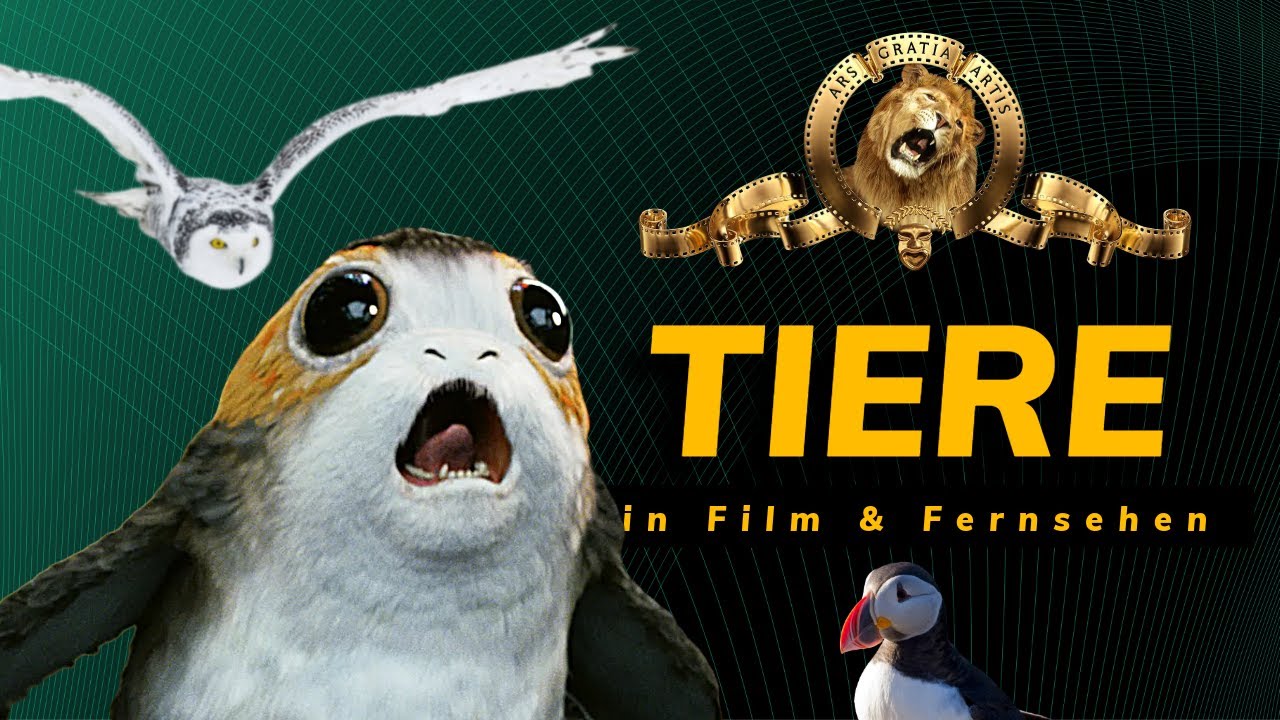 Porgs, Potter & Leo: 3 Tierische Storys, die du übersehen hast