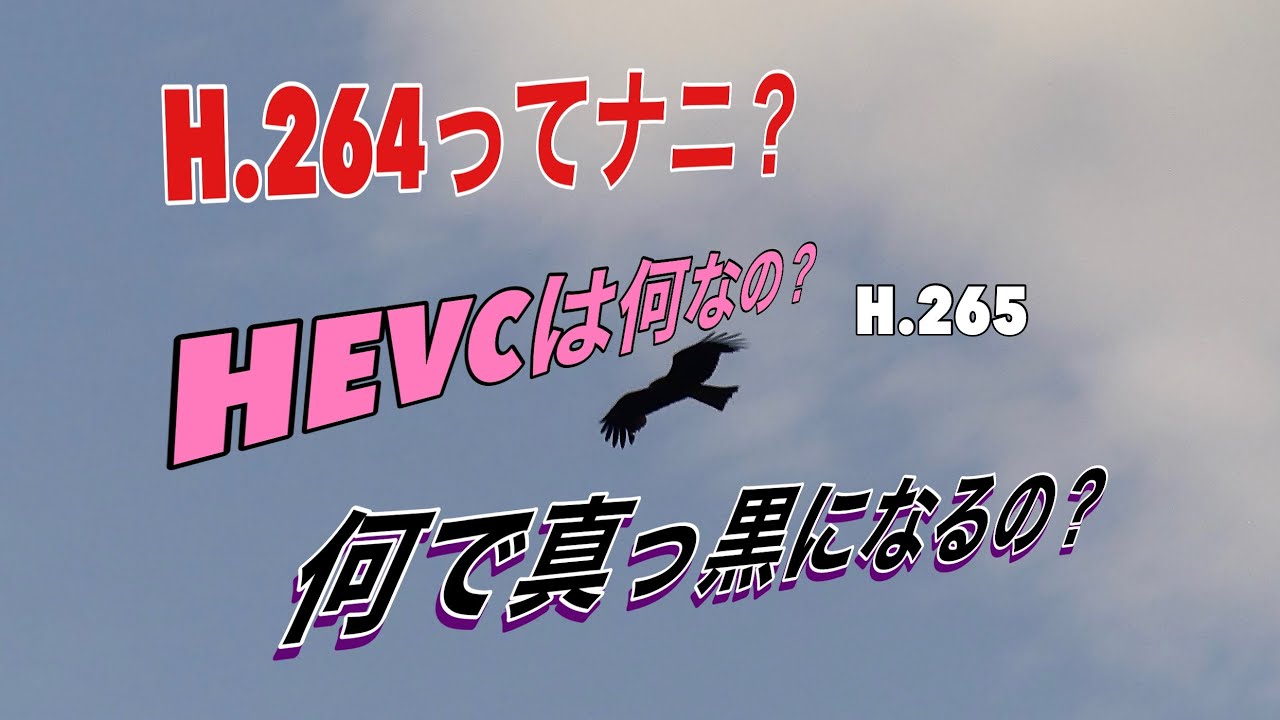 【H.264とH.265（HEVC）】動画作りのつまづきは解消するでしょうか。話は真っ黒が出て困っていました。