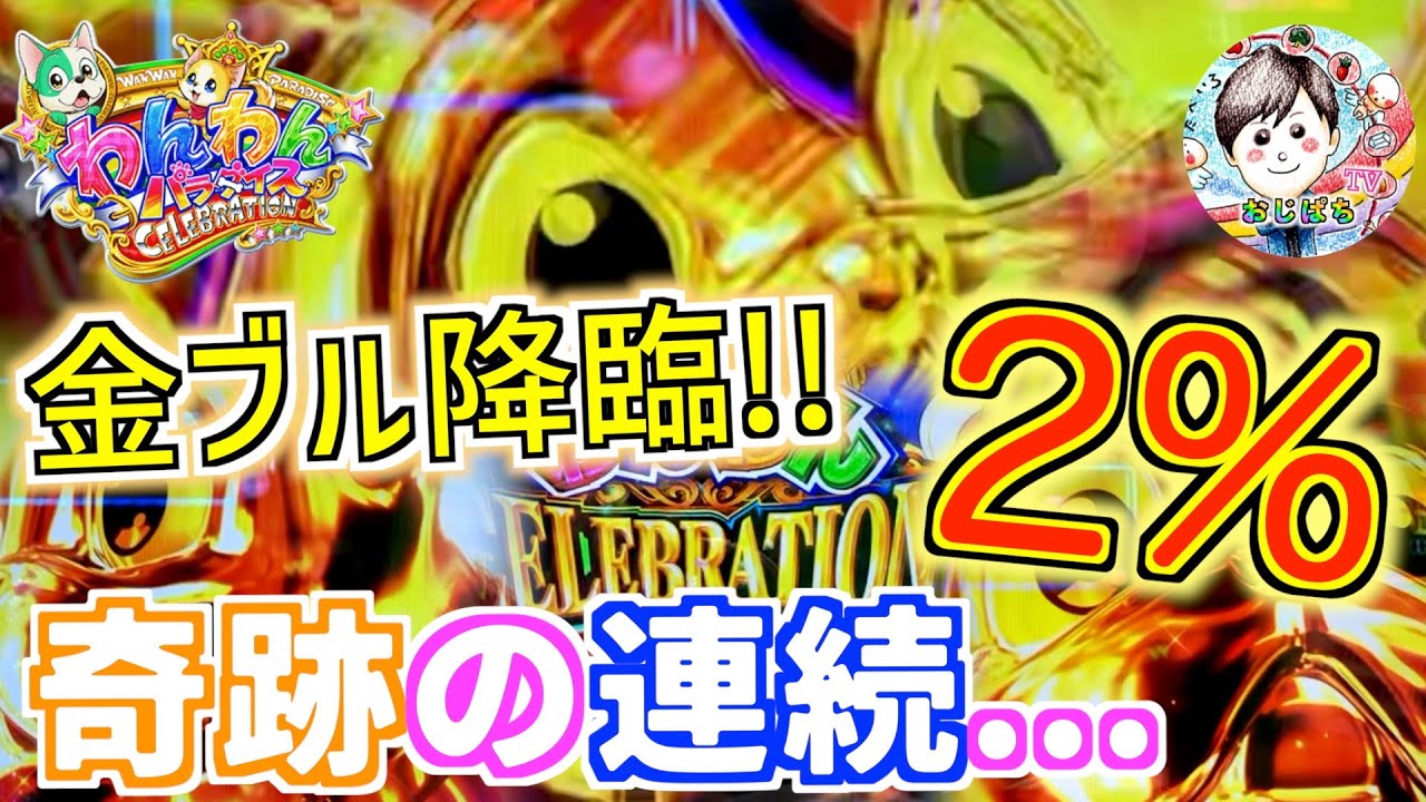 【PAわんわんパラダイスCELEBRATION】２％の奇跡到来🔥最上位モード突入で継続率約90%の爆連期待感あふれる金ブル降臨！！まさかのスルーで奇跡の連発…😭　＃パチンコ　＃わんわんパラダイス