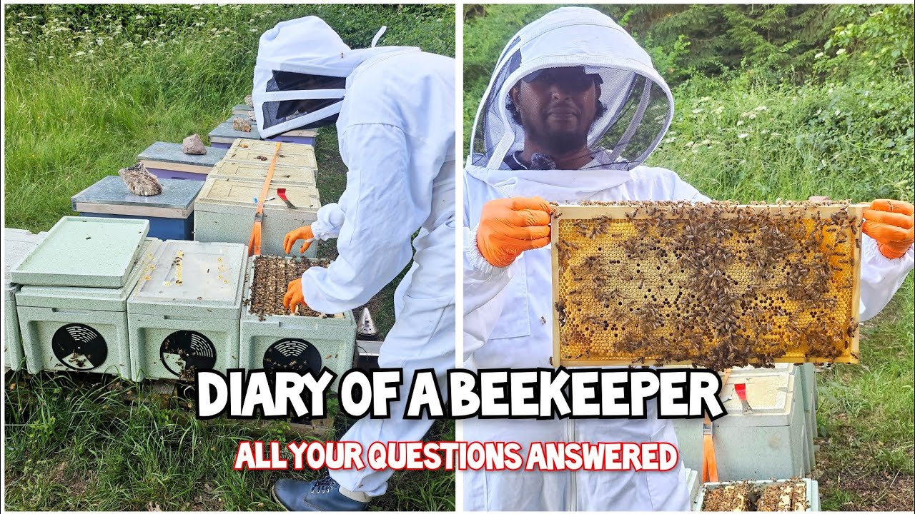 The Art Of Bee Keeping And Making Raw Honey FULL GUIDE 