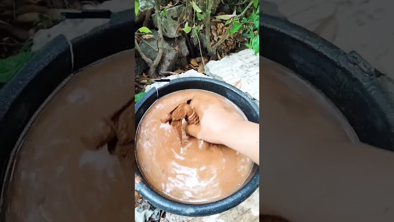 semprotan burung manual