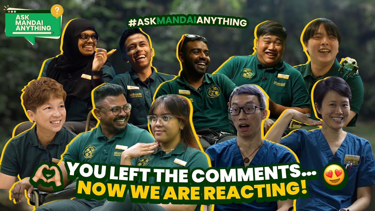 #AskMandaiAnything - You left the comments… now we are reacting! 