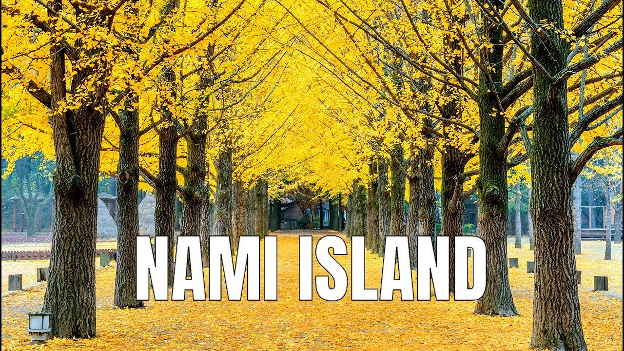 Winter Sonata Filming Place, Stunning Views & Hidden Spots | Nami Island Korea Travel Vlog & Tips