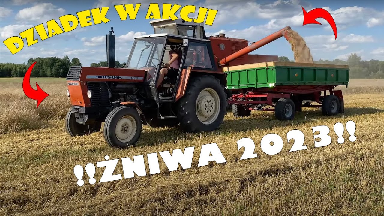 ‼️ŻNIWA 2023‼️ | Dziadek w Akcji | Bizon ZO56 | Ursus C-385 | Sypanie w Locie | Dźwięk Silnika