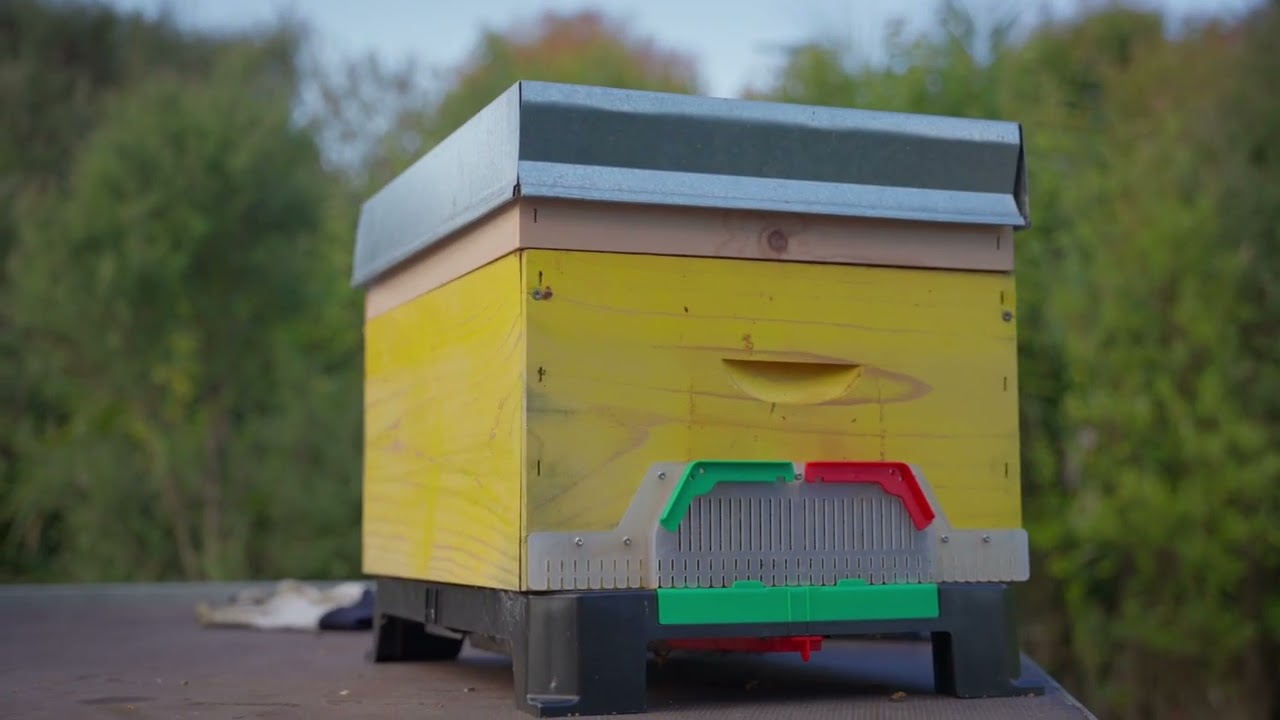 Ceracell Hive Defender Floor – The Ultimate beehive Base Explained