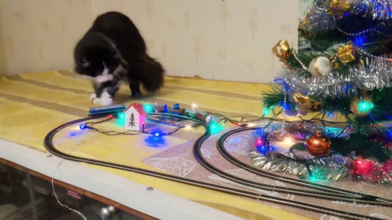 Frohe Weihnachten und ein gutes neues Jahr!