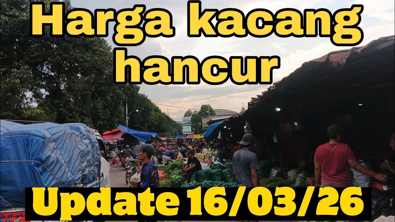 harga cabe hari ini update harga terbaru Sayuran pasar grosir ngronggo kota kediri 16/03/26