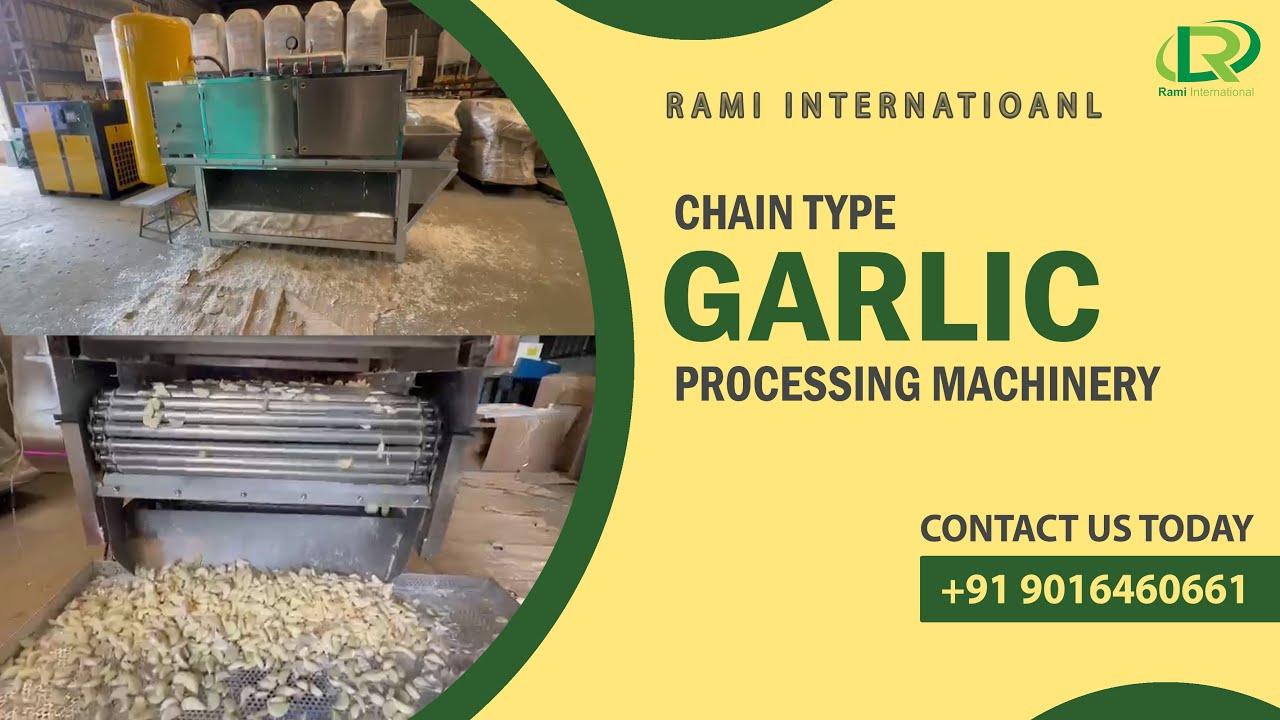 Chain Type Garlic Peeling Machine🧄Capacity : 200KG/hr, 300KG/hr, 500KG/hr, 1000KG/hr ☎️: 90164 60661