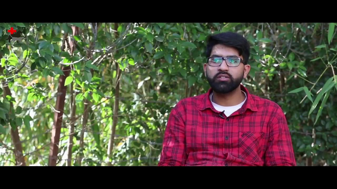 Stray Dog Shootings and poisoning in pakistan