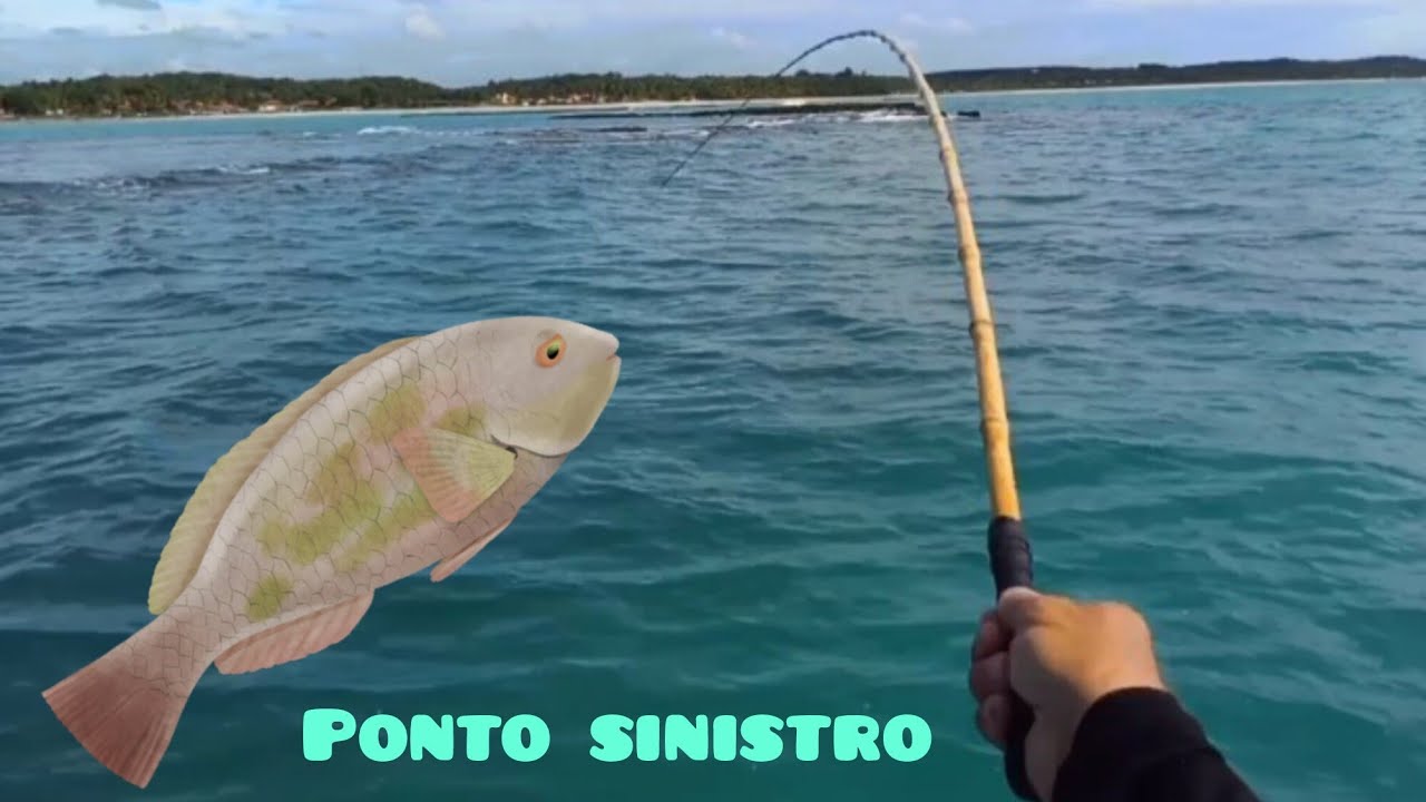 A arrebentação é sinistra mas não decepciona!!#pescaria#pescador. 