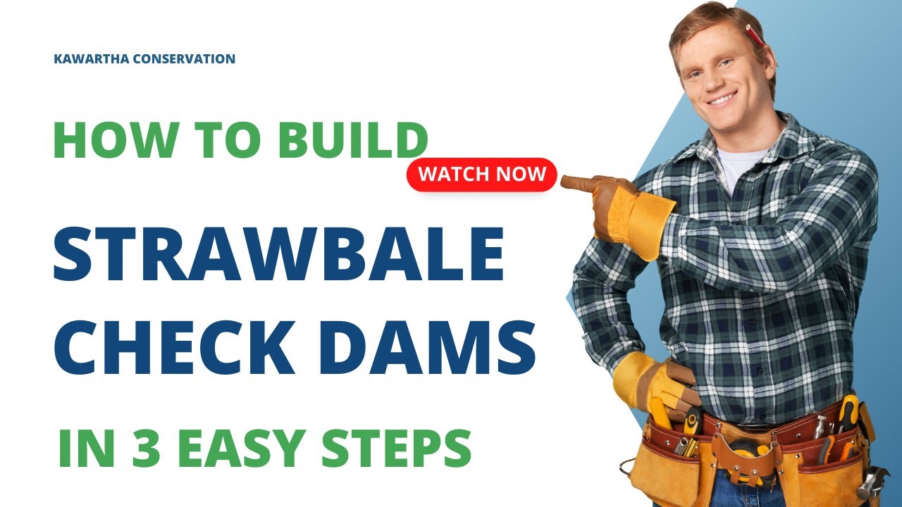 HOW TO: Build Check Dams in 3 Easy Steps