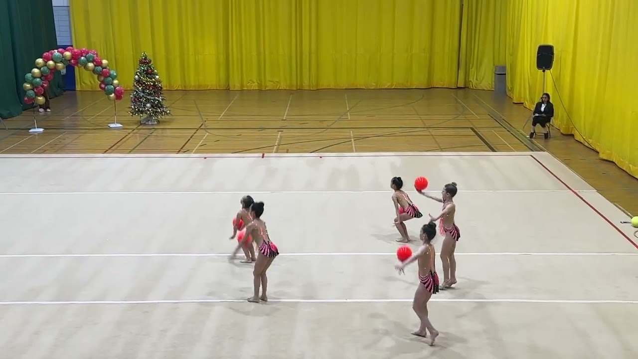Phoebe_2025/26_I1_Ball_Group