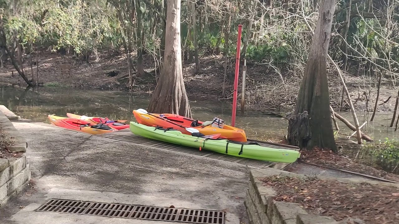 Alafia River Paddle