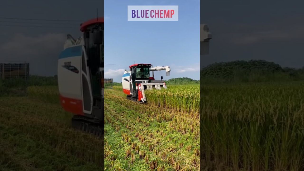 Kubota DR120 combine harvester I Mini harvester
