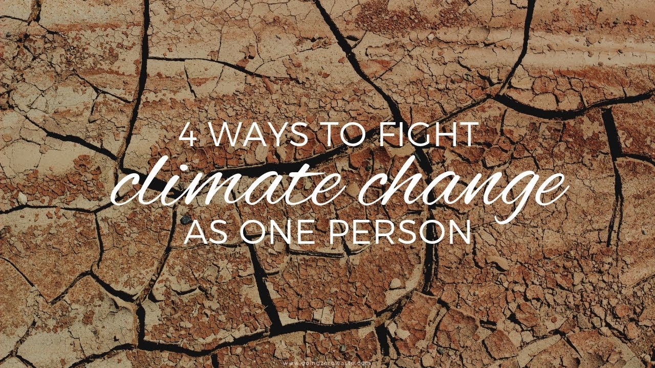 4 Ways to Fight Climate Change as One Person