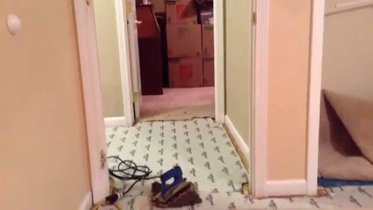 How to seam carpet. Teppo Interiors; Carpet Installation; seaming finished. Feb 24, 2014Feb 24, 2014