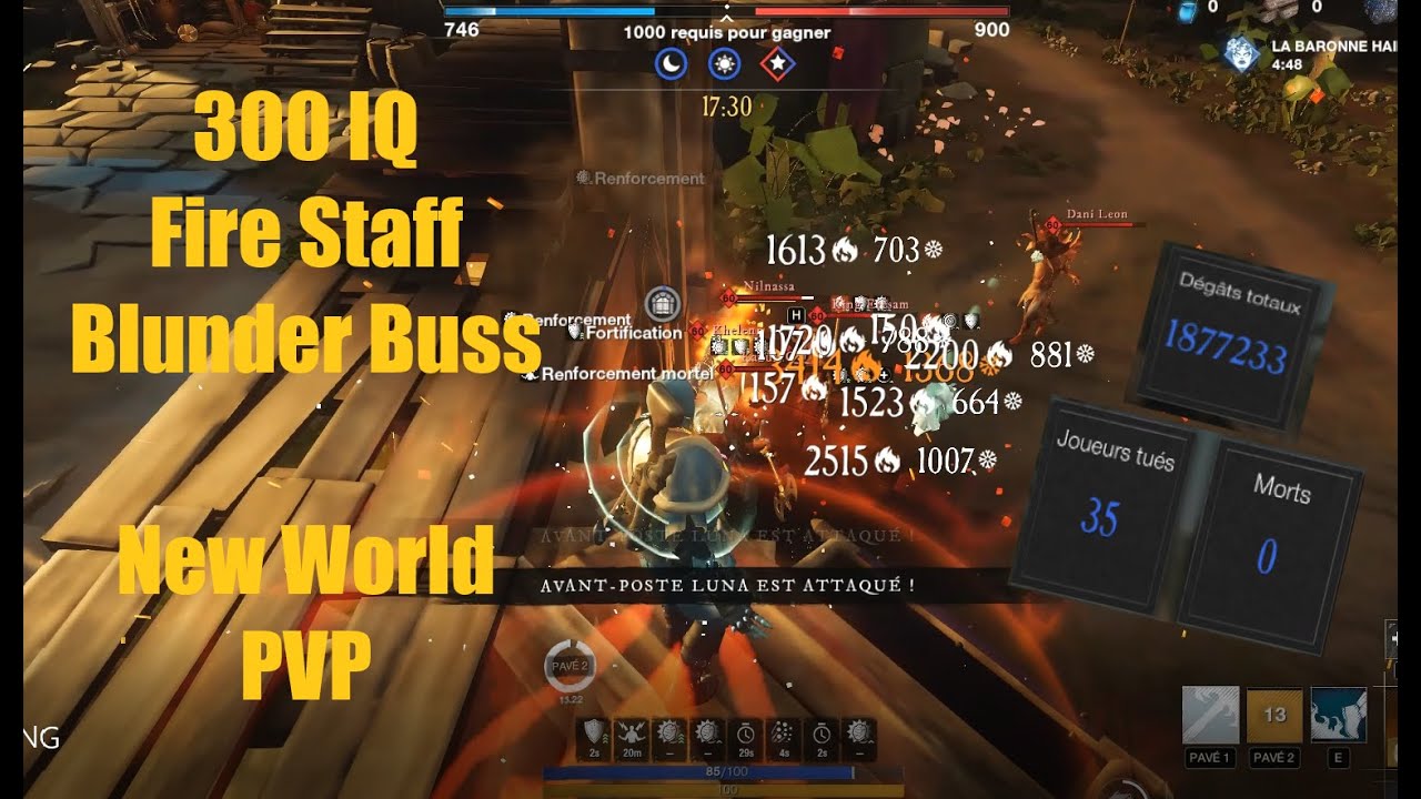 300 IQ Fire Staff/Blunder Buss New World PVP