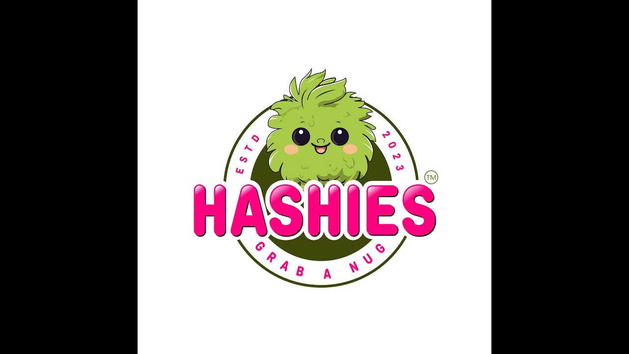 Hashies - The Story Begins