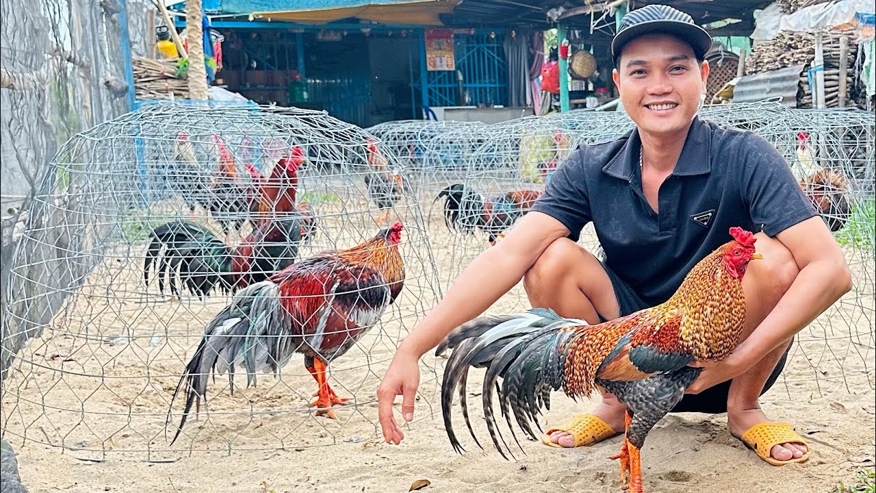 Tốp 🐓 Mới Về Phục Vụ Ae Vui Xuân Đón Tết 🧧🌼🌼🌼 Ae Xem Clip Vv