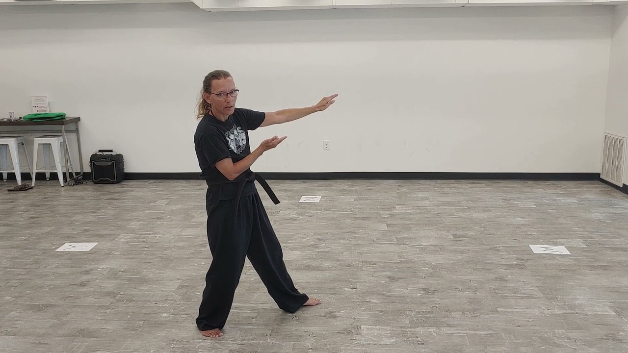 Blue Belt Kata   Heian Nidan